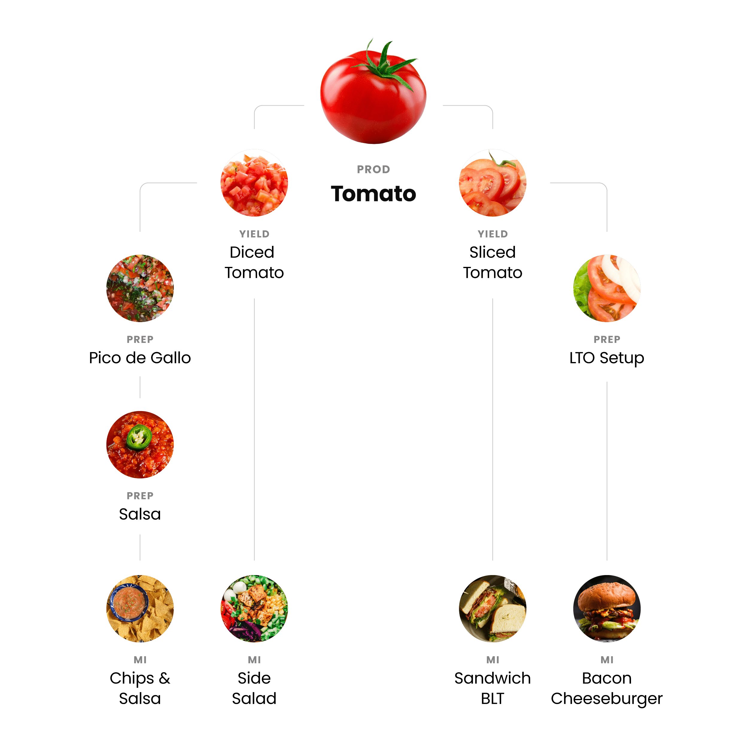 product_flowchart-life_of_a_tomato-v3